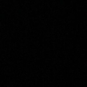 Meet your Posher, Layla